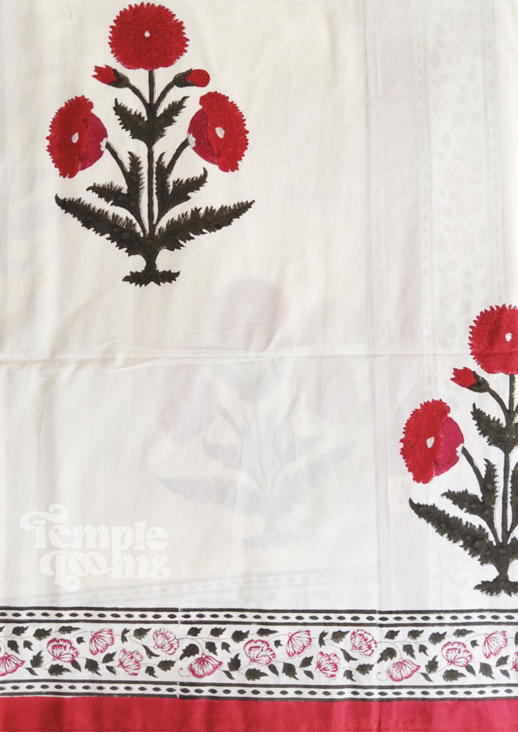 Big Red Poppies