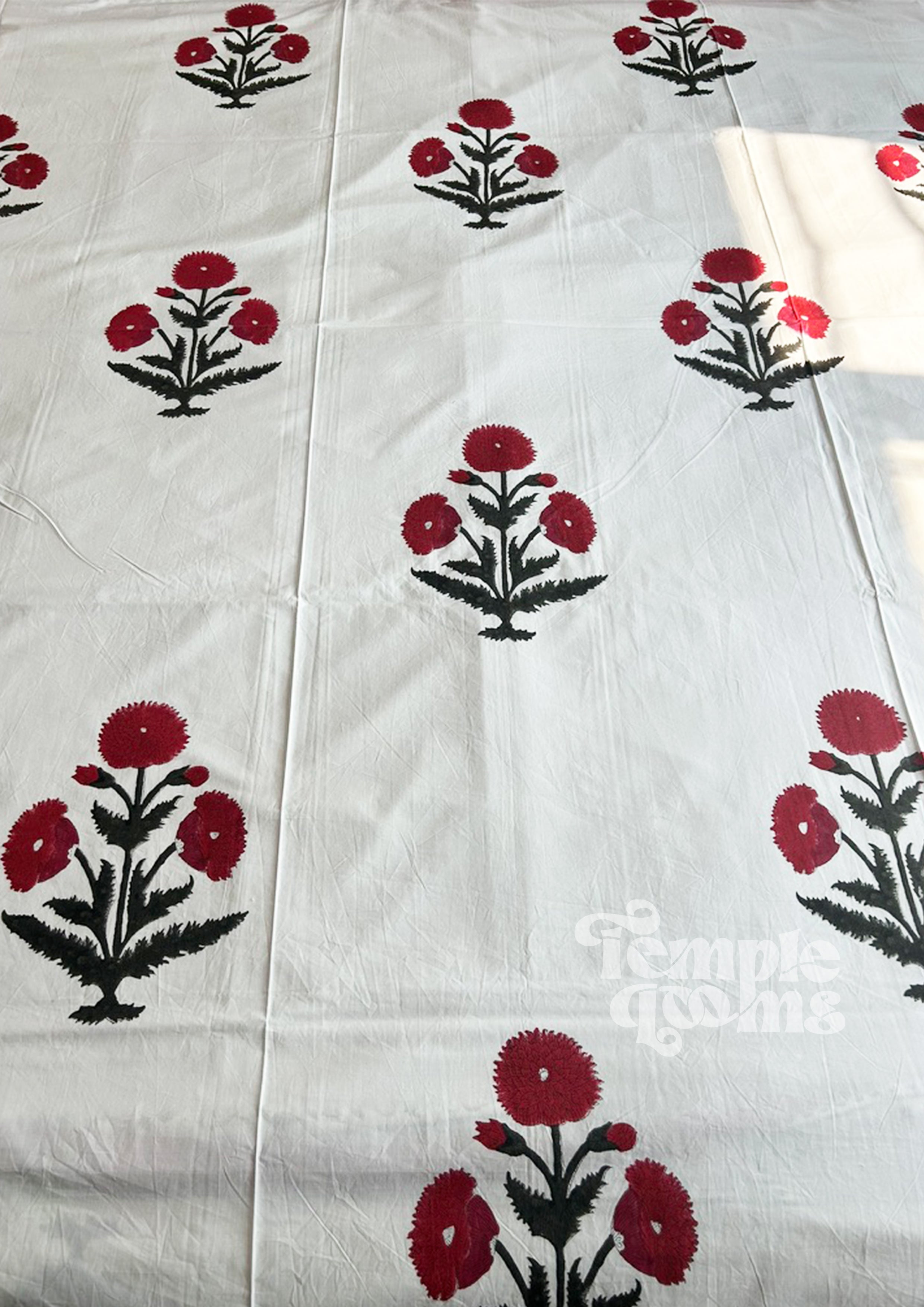 Big Red Poppies
